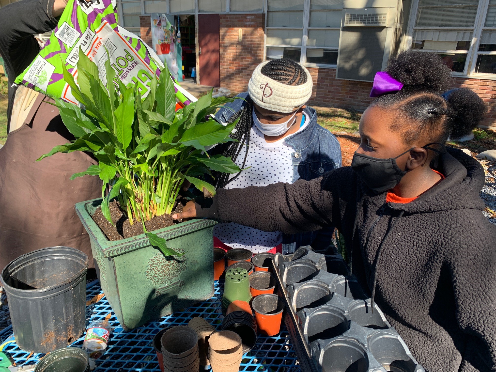 Students in Danielle Whittington’s 4th-grade class at Columbia Elementary used part of their Environmental Education Grant to learn how to plant seeds.